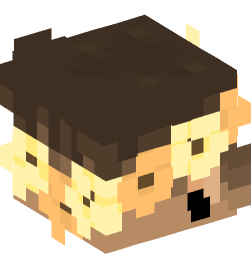 Minecraft head — People