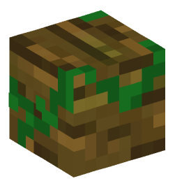 Minecraft head — Blocks
