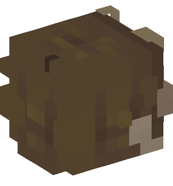 Minecraft head — People