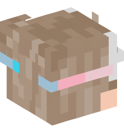 Minecraft head — People