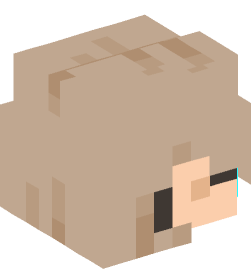 Minecraft head — People