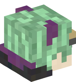 Minecraft head — People