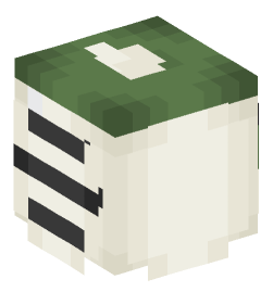 Minecraft head — Decor