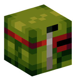 Minecraft head — People