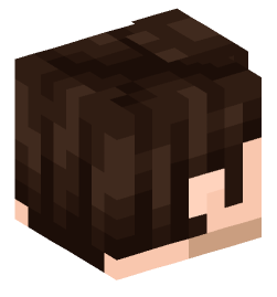 Minecraft head — People