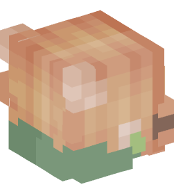 Minecraft head — People