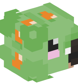 Minecraft head — People