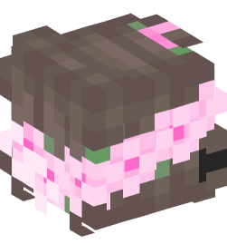 Minecraft head — People