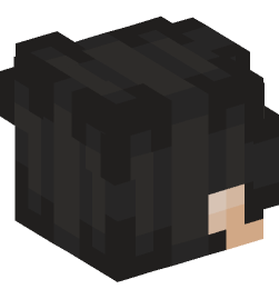 Minecraft head — People