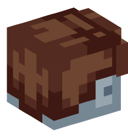 Minecraft head — Creatures