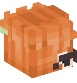 Minecraft head — People