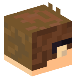 Minecraft head — People