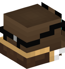 Minecraft head — People