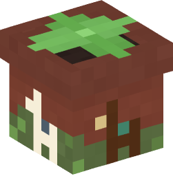 Minecraft head — Decor