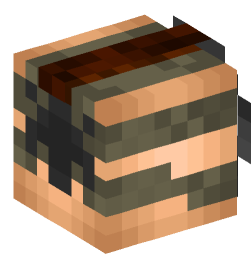 Minecraft head — People