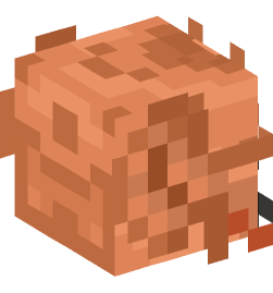 Minecraft head — Creatures