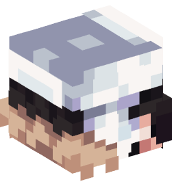 Minecraft head — People