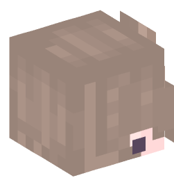 Minecraft head — People