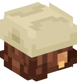 Minecraft head — People