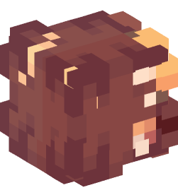 Minecraft head — People