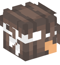 Minecraft head — People