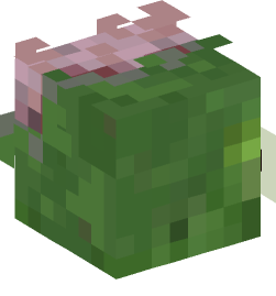 Minecraft head — Creatures