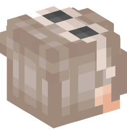 Minecraft head — People