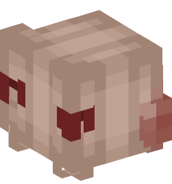 Minecraft head — People