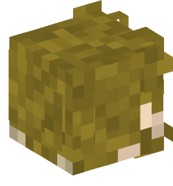 Minecraft head — People