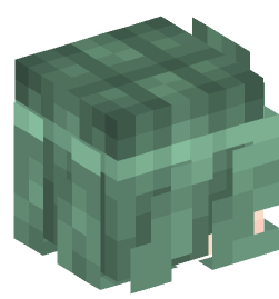 Minecraft head — People