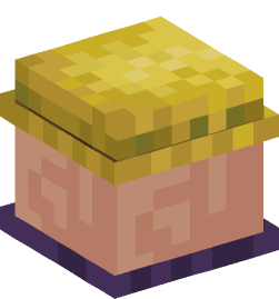 Minecraft head — Creatures