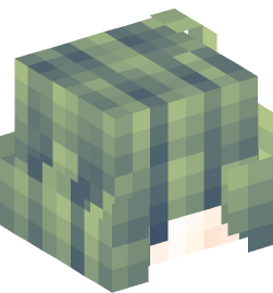 Minecraft head — People