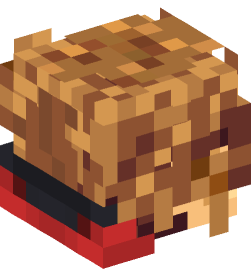 Minecraft head — People