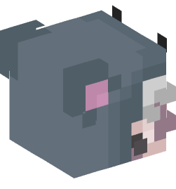 Minecraft head — People