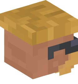 Minecraft head — People