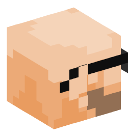 Minecraft head — People