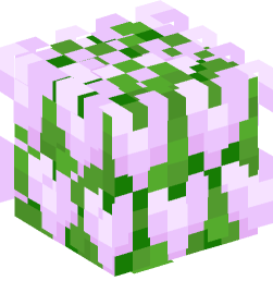 Minecraft head — Plants