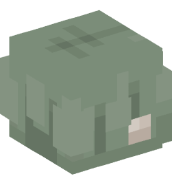 Minecraft head — People