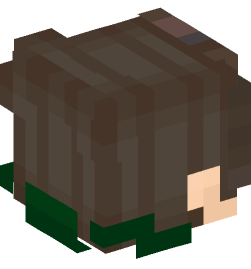 Minecraft head — People