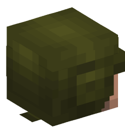 Minecraft head — People