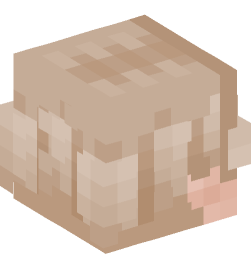 Minecraft head — People