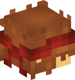 Minecraft head — People