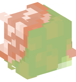 Minecraft head — Animals