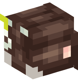 Minecraft head — People