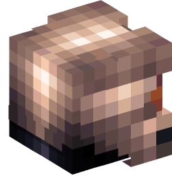 Minecraft head — People