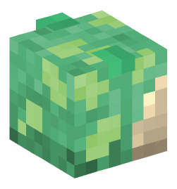 Minecraft head — Monsters