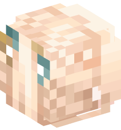 Minecraft head — People