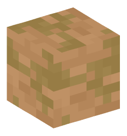 Minecraft head — Blocks