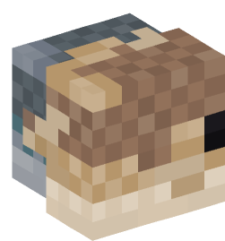 Minecraft head — Animals