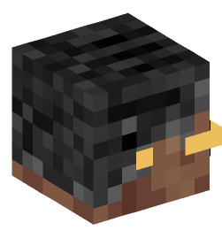 Minecraft head — People